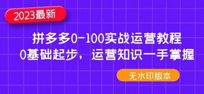 2023拼多多0-100实战运营教程，0基础起步，运营知识一手掌握网盘下载