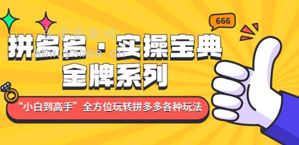 拼多多·实操宝典：金牌系列“小白到高手”带你全方位玩转拼多多各种玩法网盘下载