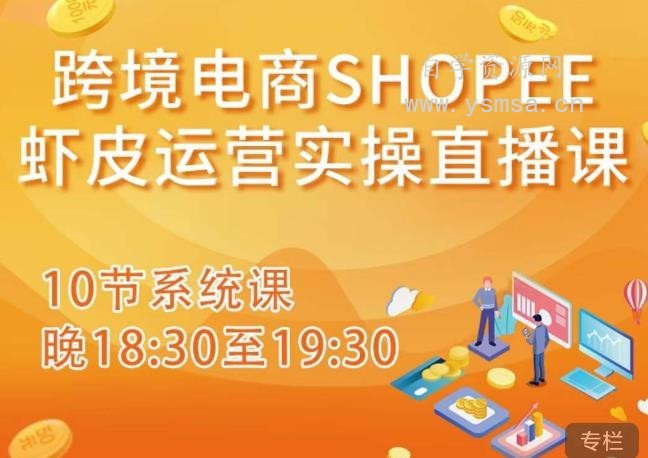 跨境电商Shopee虾皮运营实操直播课，从零开始学，入门到精通（10节系统课）网盘下载