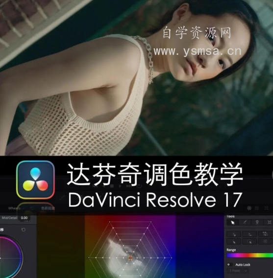 舞光弄影达芬奇调色教学DaVinci Resolve17速成教学大师指南课网盘下载