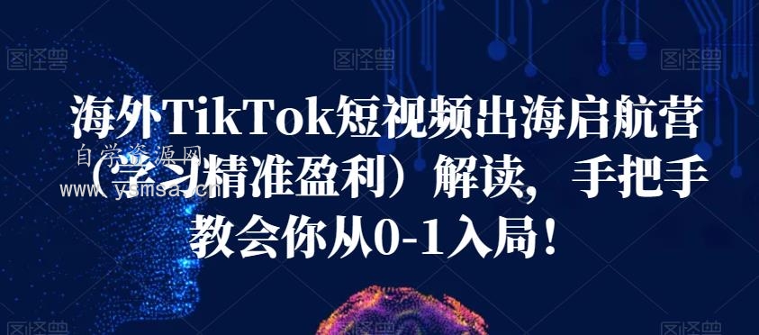 海外TikTok短视频出海启航营（学习精准盈利）解读，手把手教会你从0-1入局网盘下载