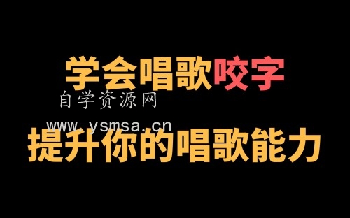 王乙婷C系列养成科学的唱歌咬字网盘下载